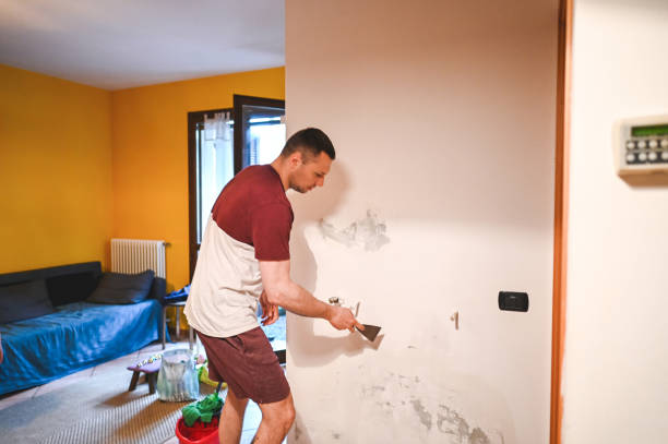 Best Crawl Space Mold Removal  in Napili Honokowai, HI